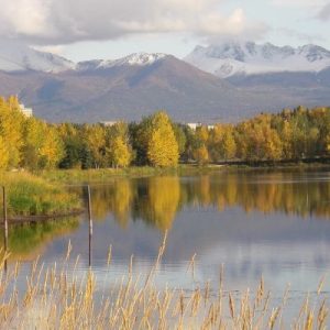What to see in Anchorage Alaska | The Stated Home