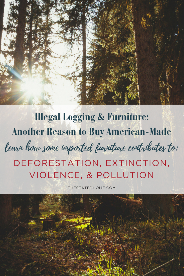 Eco-Friendly Furniture: The Truth About Logging