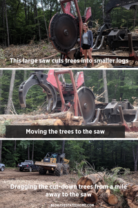 Sustainable Forestry In Action | The Stated Home
