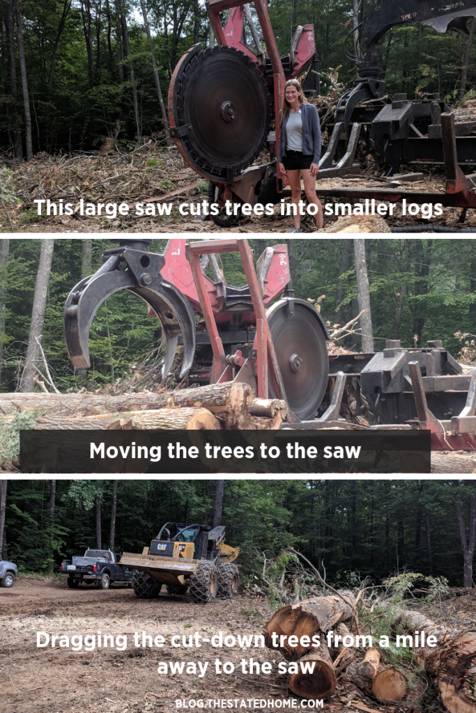 Sustainable Forestry: How It Works | The Stated Home Blog