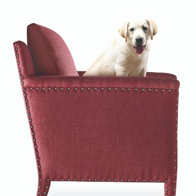 Pet-Friendly Furniture: The Best Choices for Dog- and Cat-Owners