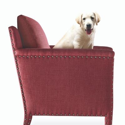 Best pet friendly outlet furniture