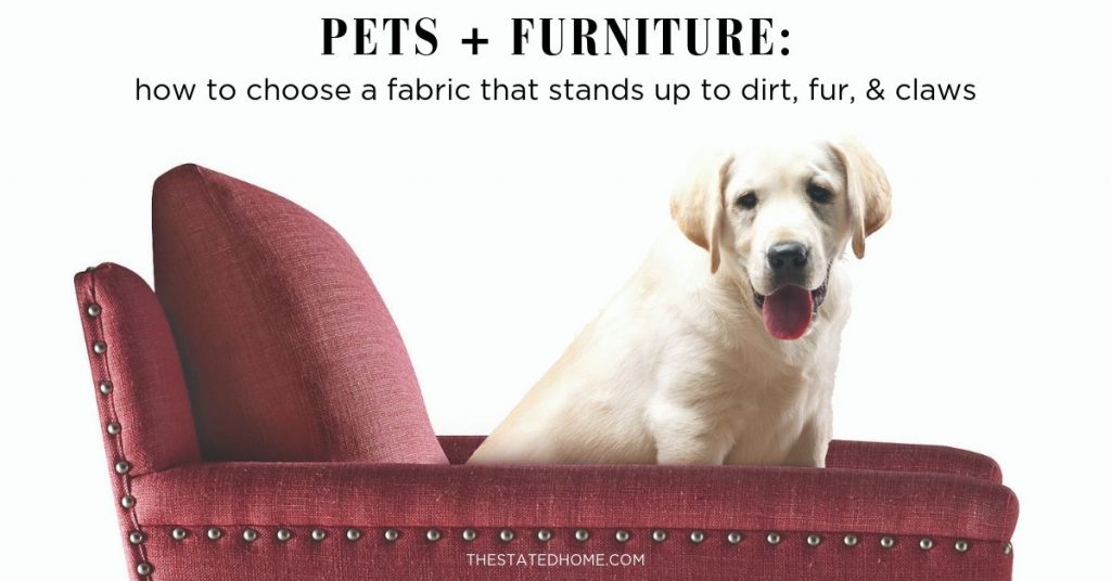 Pet Friendly Furniture The Stated Home Blog