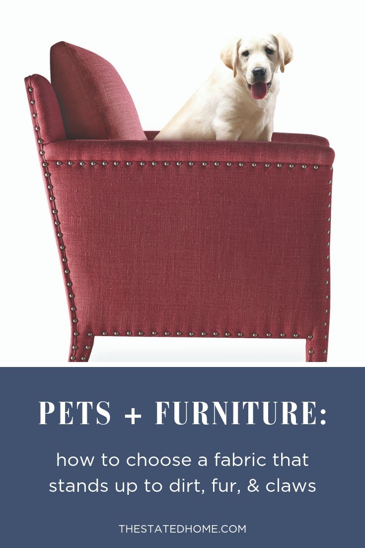 Pet-Friendly Furniture: The Best Choices for Dog- and Cat-Owners