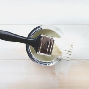 Best White Paint for Walls | The Stated Home